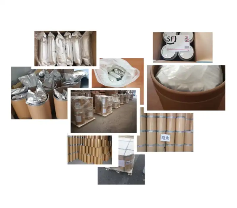 Green Coffee Bean Extract Powder Package Green Coffee Bean Extract Powder Package