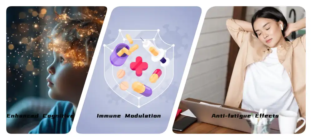 Cistanche Extract Cistanche Extract