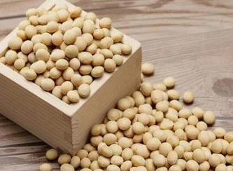 Soybean Extract