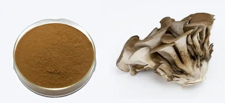 Maitake Mushroom Extract