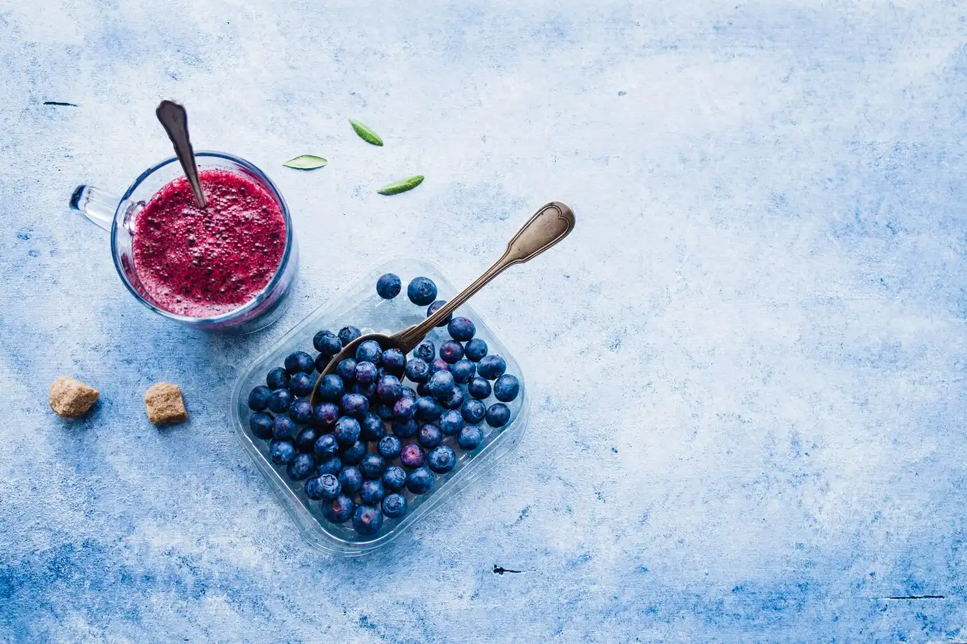 Bilberry Extract Powder