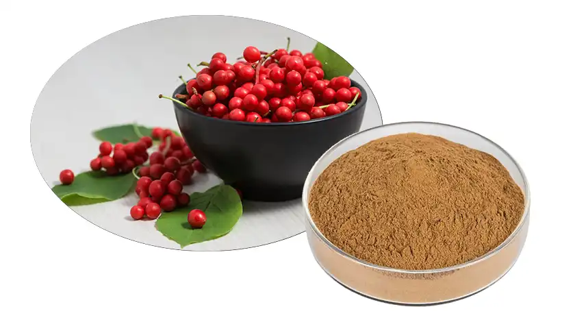 Schisandra Chinensis Extract