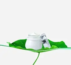 Lotus Leaf Extract Powder application Lotus Leaf Extract Powder application