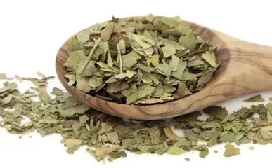 Lotus Leaf Extract Application