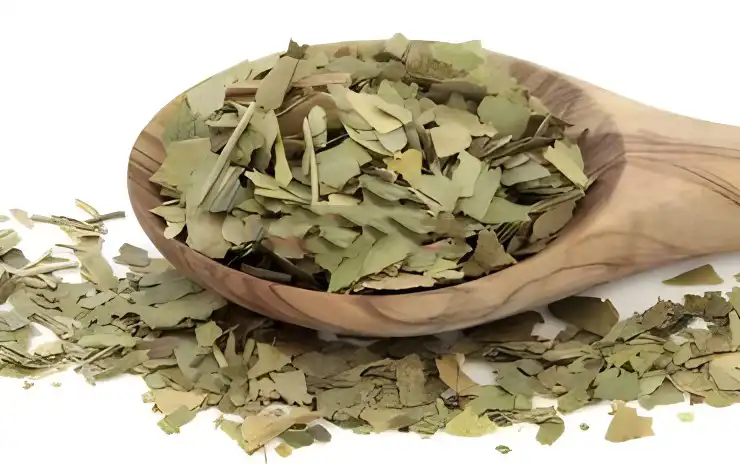 Lotus Leaf Extract 