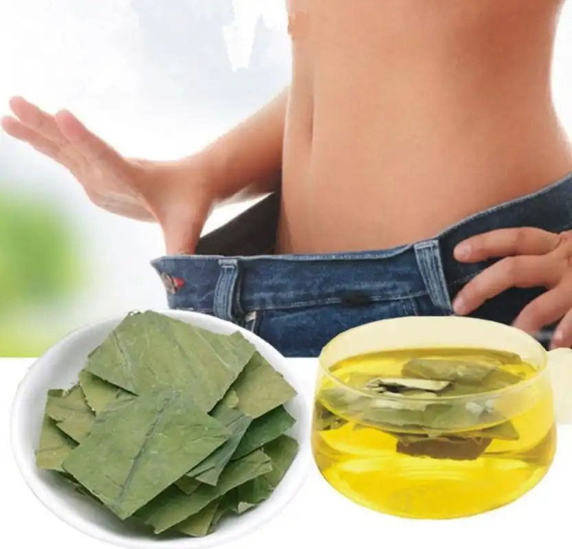 Lotus Leaf Extract Powder function