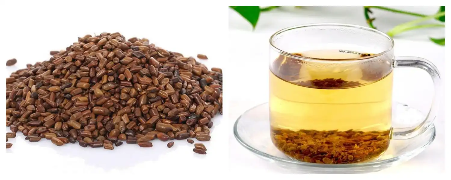 Cassia Seed Extract Cassia Seed Extract