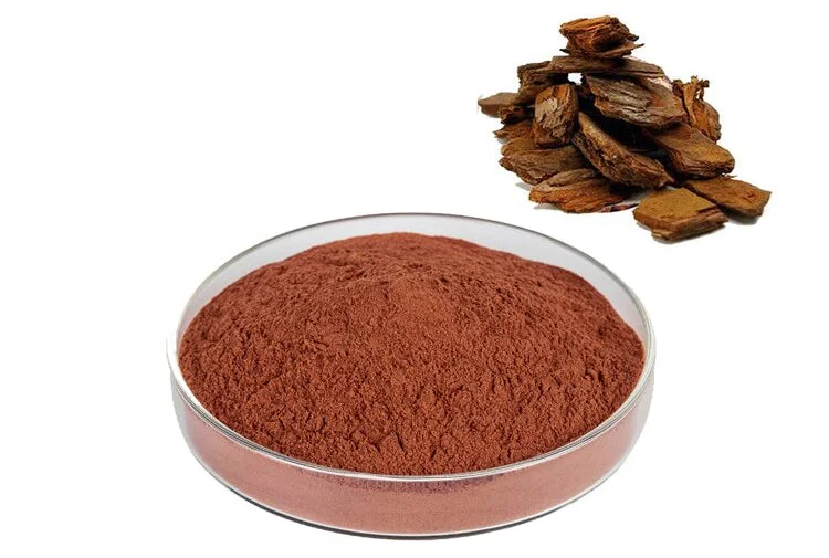 Pine Bark Extract Powder Pine Bark Extract Powder