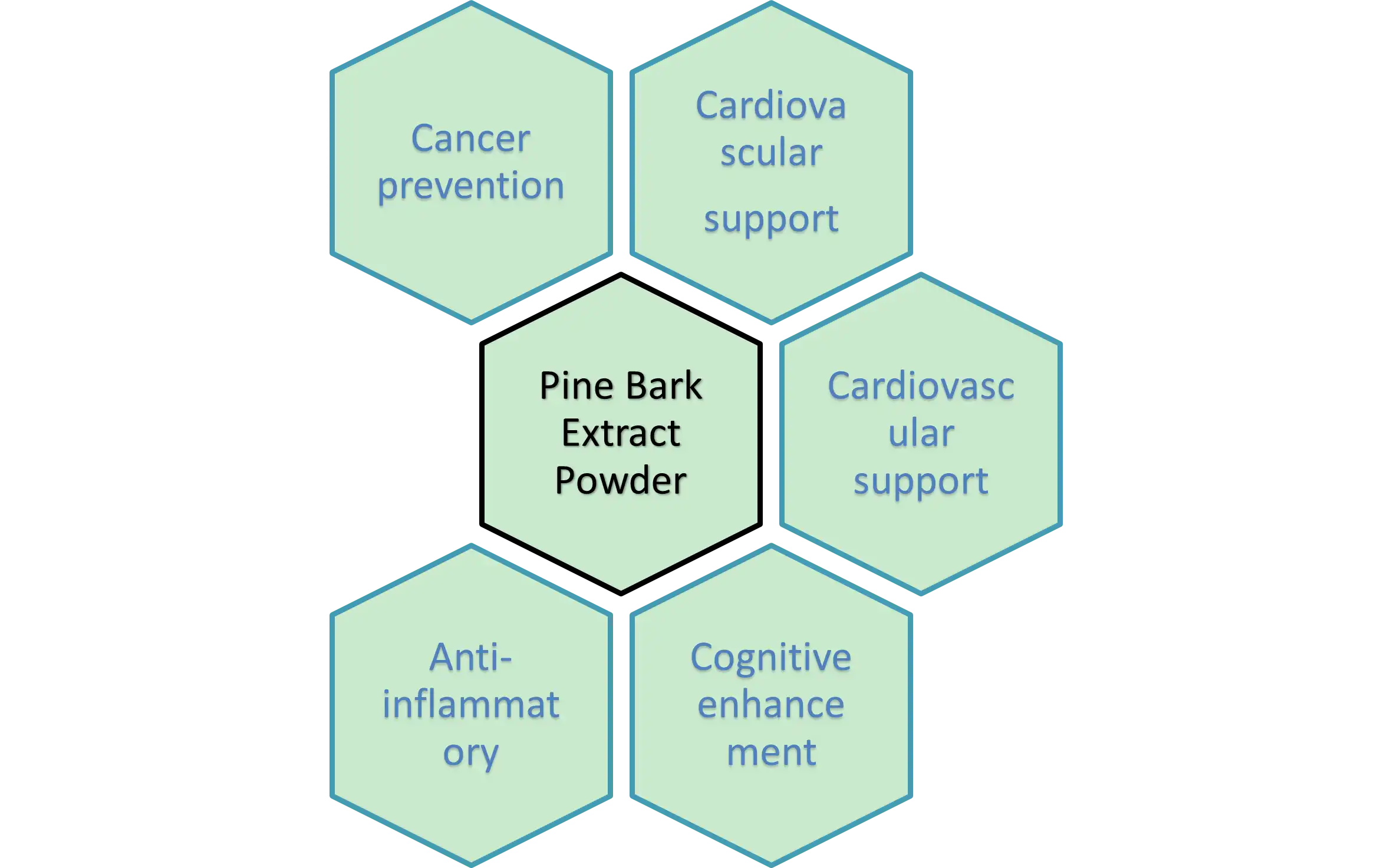 Pine Bark Extract Powder Pine Bark Extract Powder