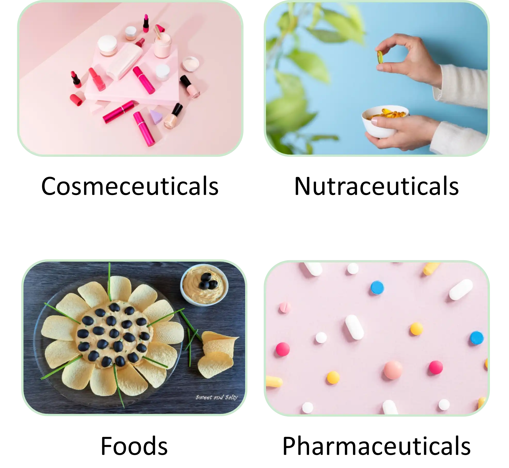 Pine Bark Extract Powder Pine Bark Extract Powder