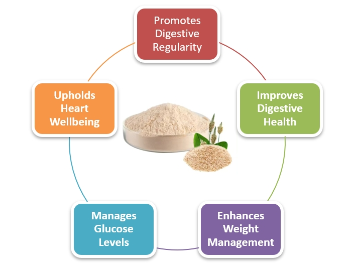 Psyllium husk powder