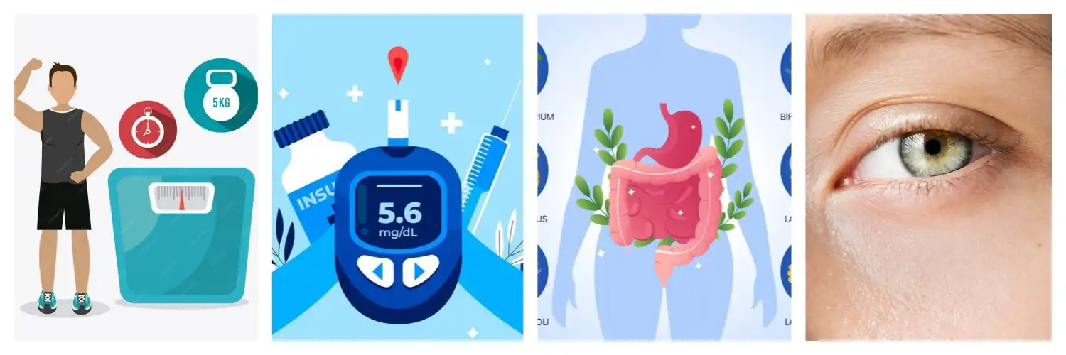 Ginseng Root Extract Function Ginseng Root Extract Function