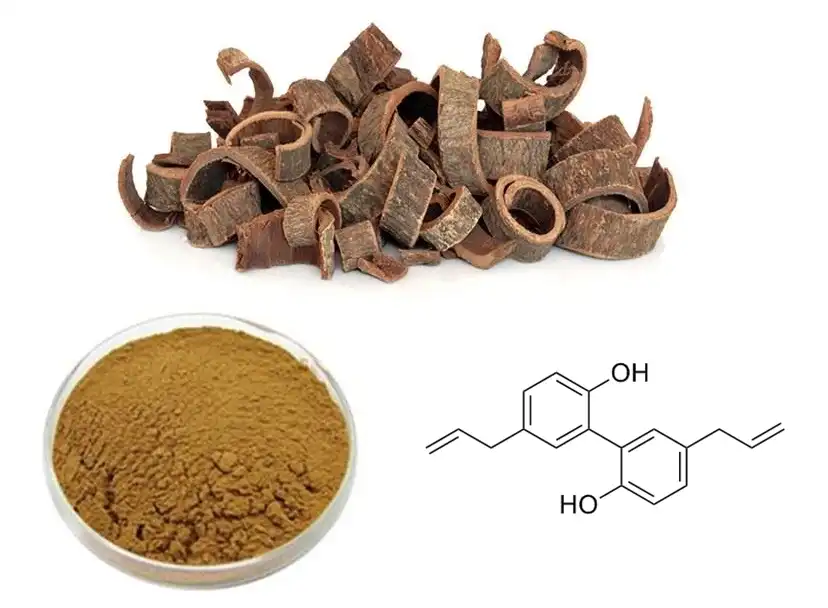 Magnolia Extract Powder