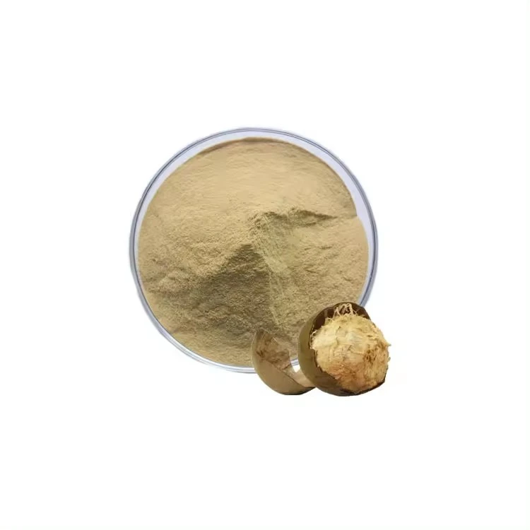 Monk Fruit Extract Powder