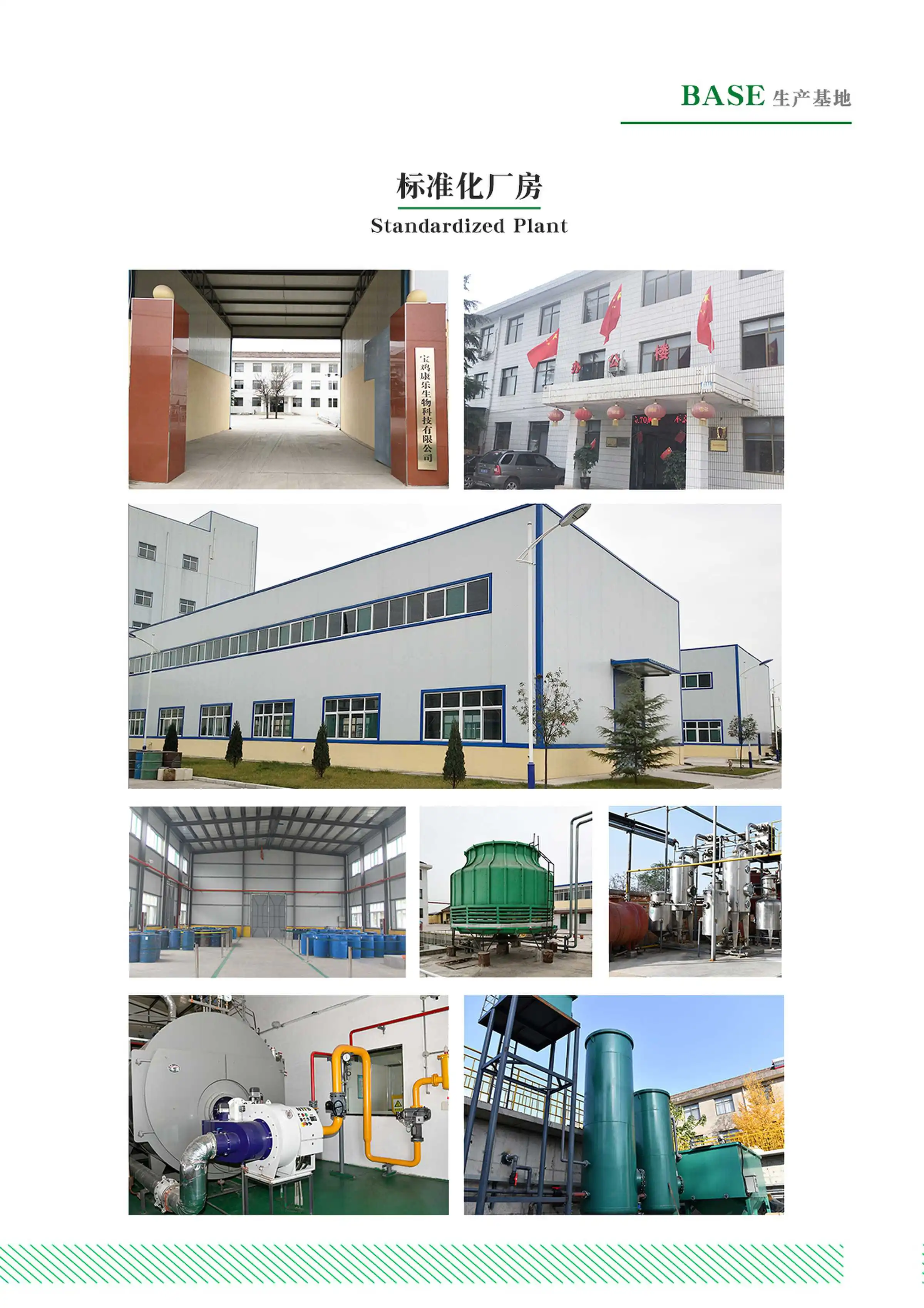 Cranberry Powder Cranberry Powder