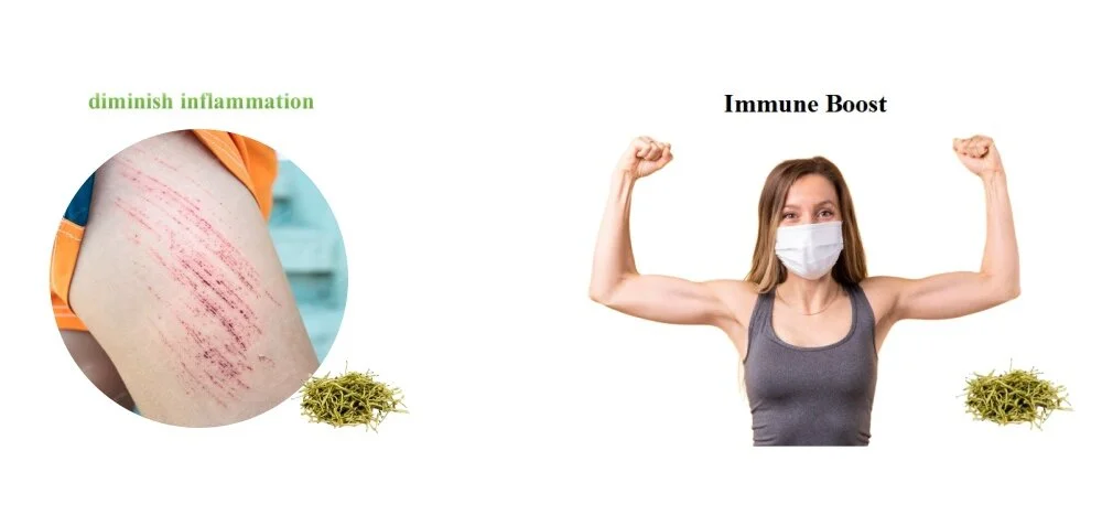 Honeysuckle Extract function Honeysuckle Extract function