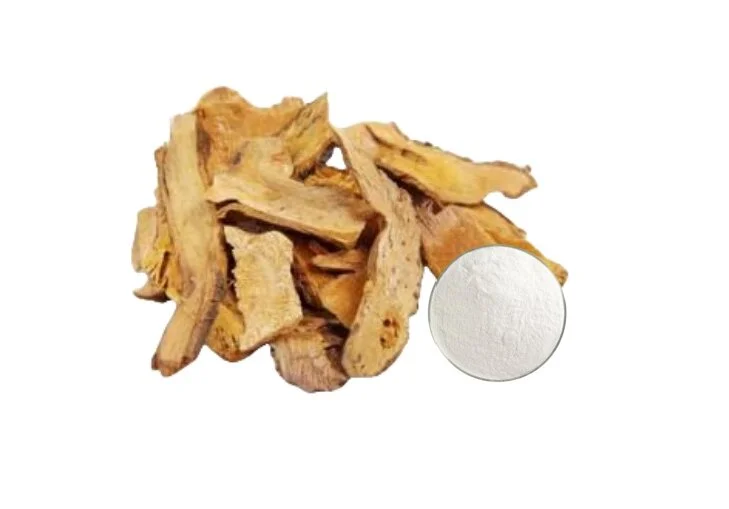 Polygonum Cuspidatum Extract 