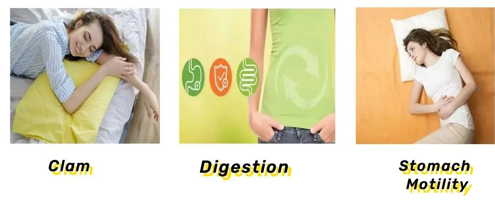 Piperine Powder Functions Piperine Powder Functions