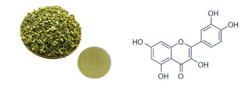 Quercetin Powder