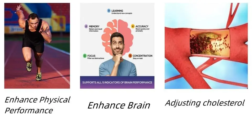 Octacosanol Powder Functions