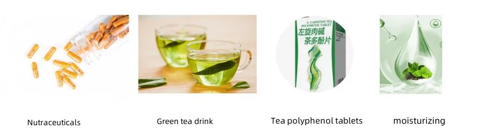 Natural Tea Polyphenols Application