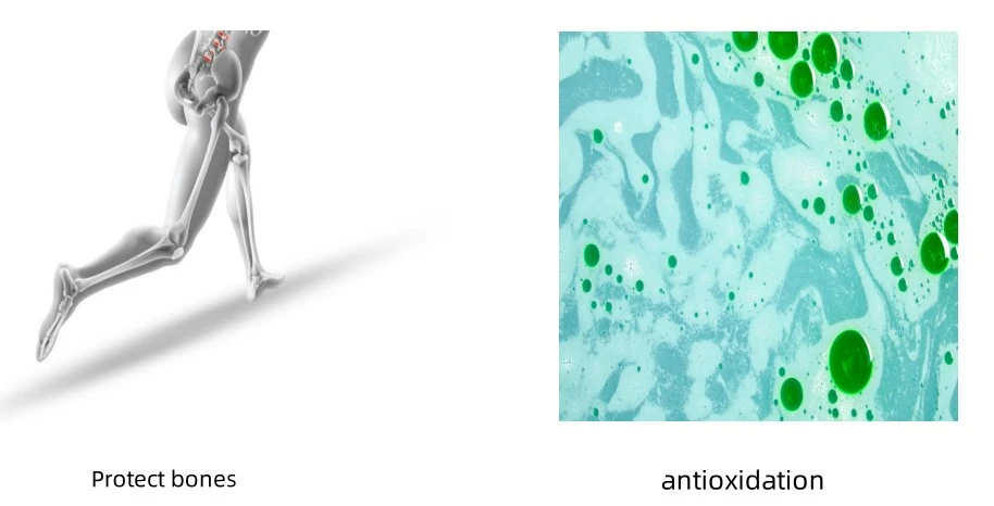 Icariin Powder function Icariin Powder function