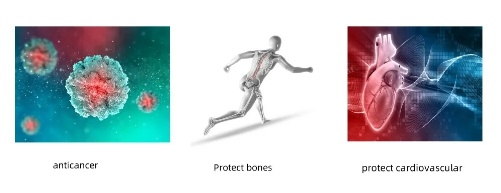 Soy Isoflavone function