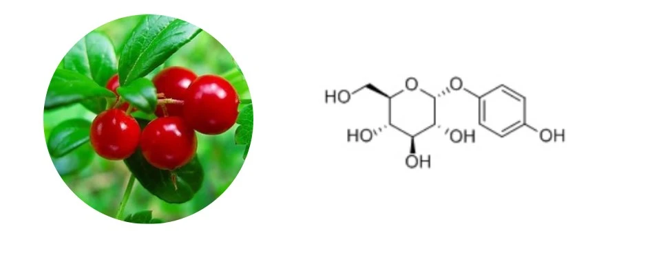 Alpha Arbutin Powder