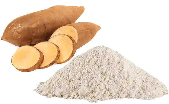 Yacon Powder