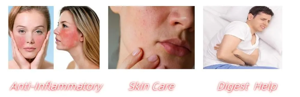 Rosmarinic Acid Powder Functions Rosmarinic Acid Powder Functions