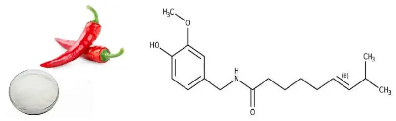 Capsaicin Powder Capsaicin Powder