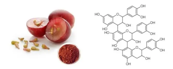 Grape Seed Extract Powder Grape Seed Extract Powder
