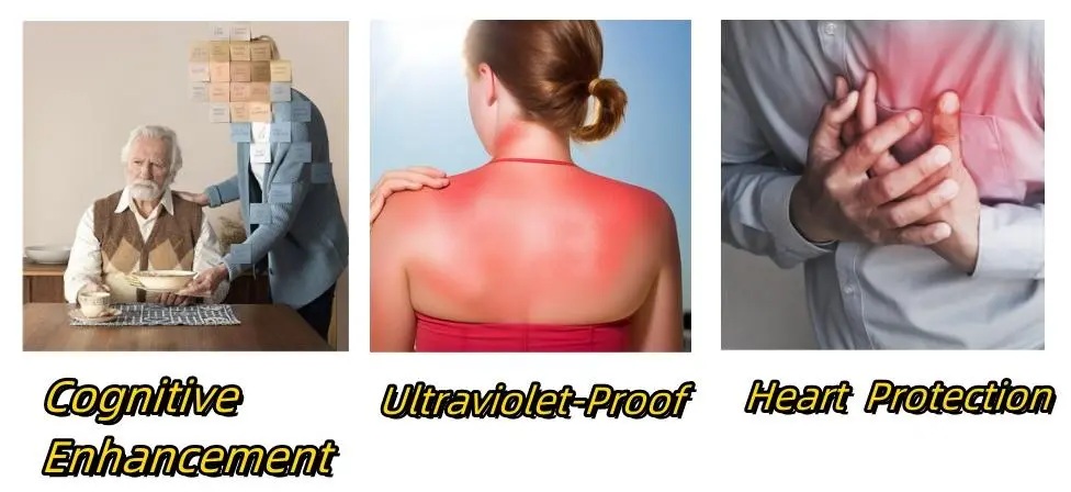 Grape Seed Extract Powder Functions Grape Seed Extract Powder Functions