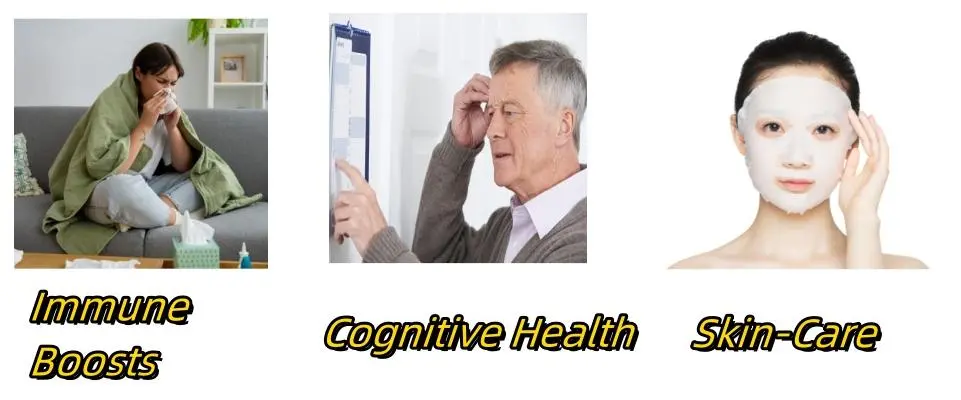 Scutellaria Baicalensis Extract Functions Scutellaria Baicalensis Extract Functions