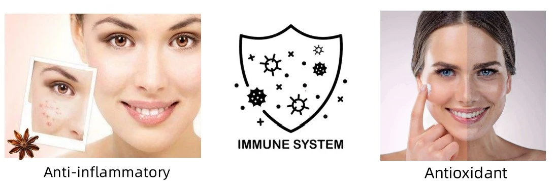 Shikimic Acid Powder function Shikimic Acid Powder function