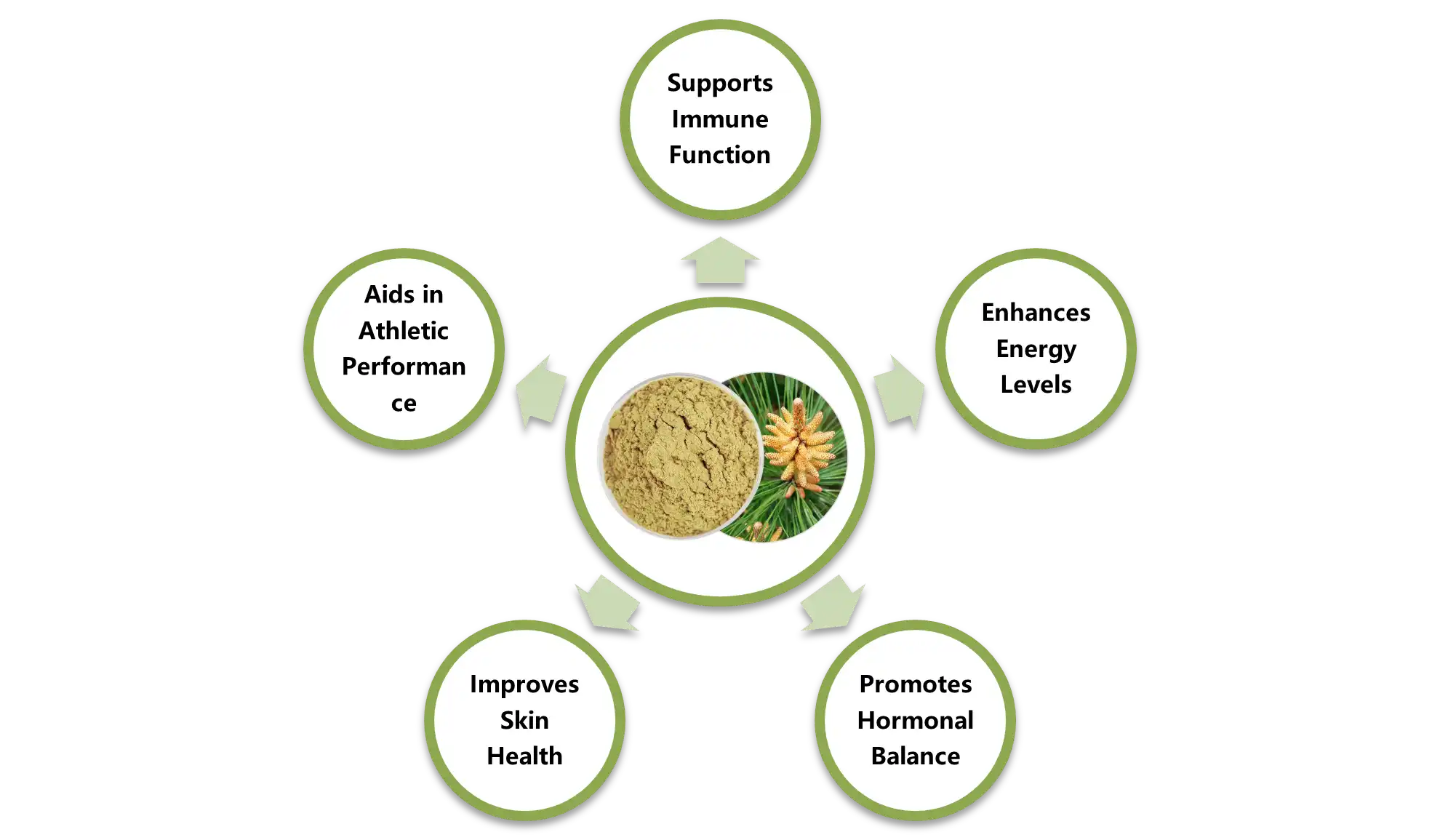 Pine Pollen Powder