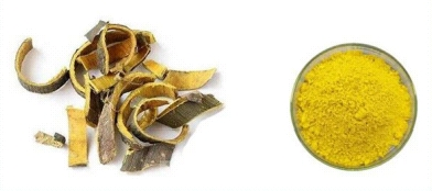 Phellodendron Extract Phellodendron Extract