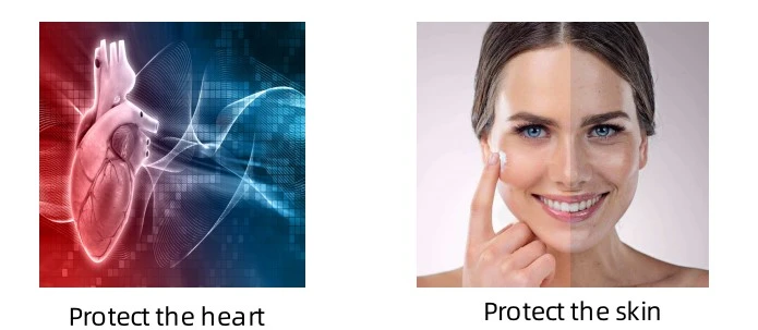 Polygonum Cuspidatum Extract function Polygonum Cuspidatum Extract function