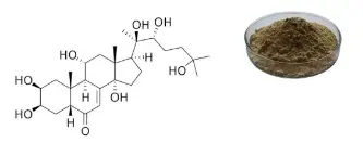 Turkesterone Powder