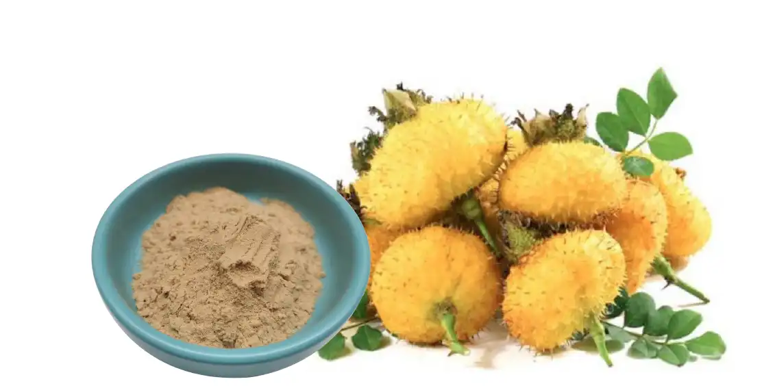 Prickly Pear Fruit Powder