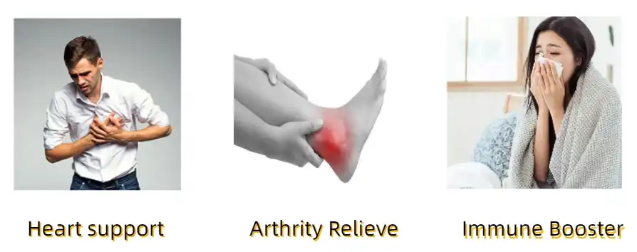 Ginger Extract Powder Functions Ginger Extract Powder Functions