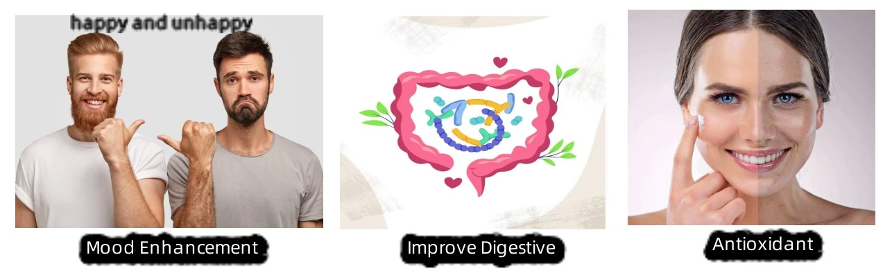 Green Coffee Bean Extract Powder function Green Coffee Bean Extract Powder function