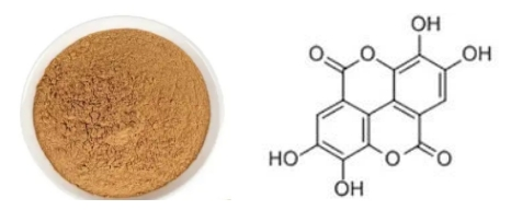 Ellagic Acid Powder