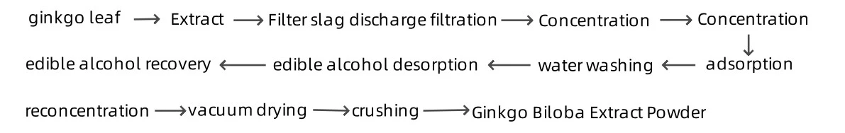 Ginkgo Biloba Extract Powder Production Process 