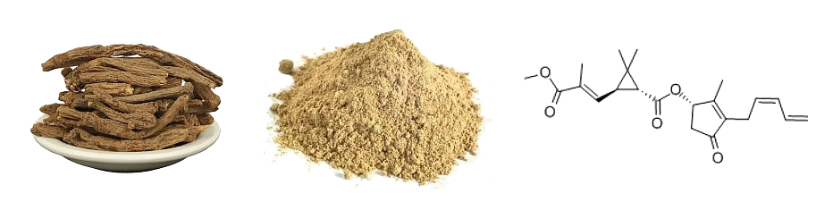 Anacyclus Pyrethrum Extract