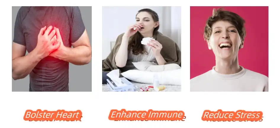 Panax Notoginseng Extract Functions Panax Notoginseng Extract Functions