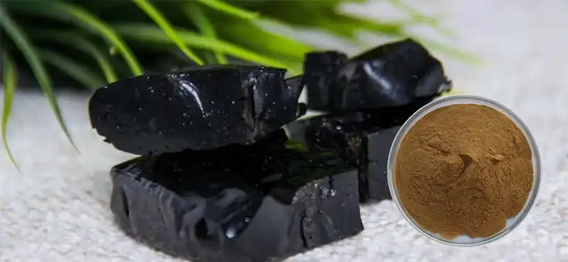 Shilajit Extract Powder