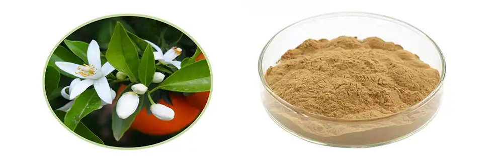 Bitter Orange Flower Extract