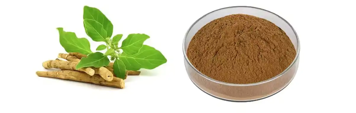 Ashwagandha Extract Powder