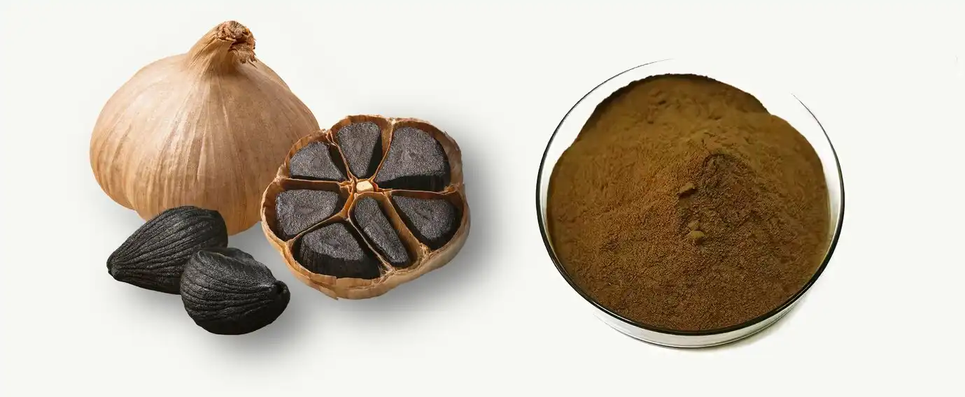 Black Garlic Extract Powder